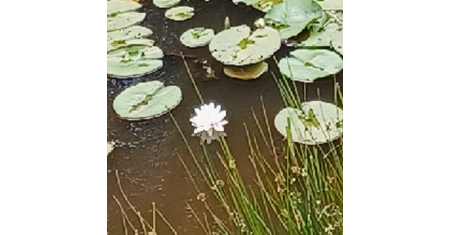 Vakantietijd, zon(?)tijd